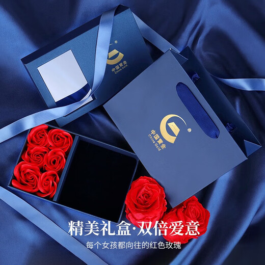 Chinese gold diamond platinum necklace female Mobius platinum pendant birthday gift for girlfriend and wife anniversary platinum chain set-13 diamonds + certificate gift box