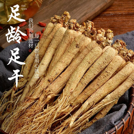 Kompendium des Cinnamomum Changbai Mountain getrockneter Ginseng White Ginseng 10-jährige Ginseng Prauning ausgewählte Wildginseng Nordost-Spezialitätengewinnung gewonnener Wein und Suppengarten Ginseng ausgewählt Changbai Mountain Wild Ginseng ausgewählt 10-jährige Ginseng [50 Gramm] etwa 5