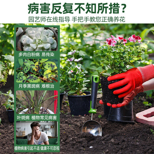 Guoguang 40% карбендазим фунгицид специальный пыльник хлороталонил растение овощной цветок черное пятно мучнистой росы 200 г