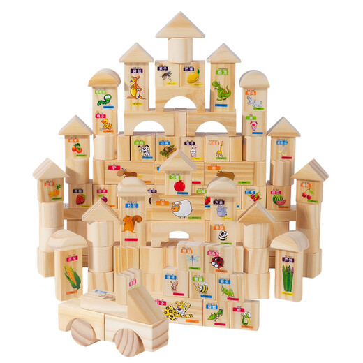 Sangetian (Sangty) Kinderbausteine ​​intellektuelle Puzzle -Form -Bausteine ​​zusammengebaut Spielzeug 100 Spielzeug für kleine Kinder, Jungen und Mädchen (2909) 100 Gemüse, Obst und Tiere Bausteine