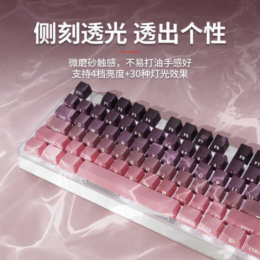 前行者（EWEADN）TK870无线蓝牙机械键盘鼠标套装有线三模可选黑莓侧刻高颜值客制化办公游戏电脑笔记本平板iPad用 银白正刻87键白光【有线键盘】 茶轴【办公码字】