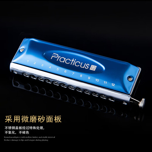 Dunhuang Chromotic harmonica 12-hole film-free washing C-tuning for students to beginners C-tuning black