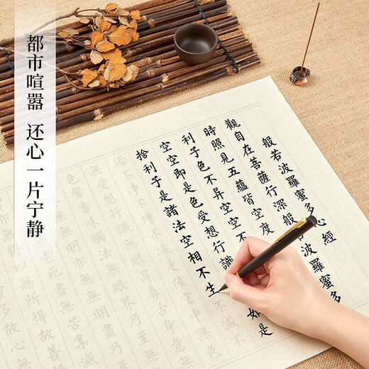 Liupintang Heart Sutra copybook fountain pen style calligraphy copybook meditation small regular script copy practice sticker book adult soft pen red calligraphy sutra hand copy half-cooked 90 times set