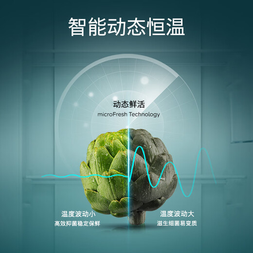 SIEMENS 637L double-door inverter refrigerator double-door large capacity precise control of constant freshness air-cooled frost-free natural fresh storage room independent dual circulation supports national subsidies KT99V1250C