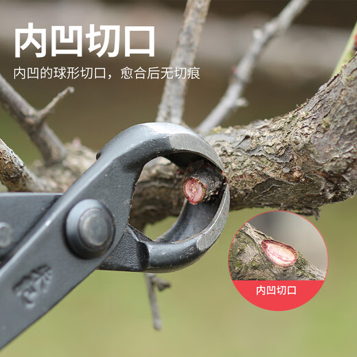朱记球节剪球形剪朱记盆景工具球剪球钳朱记修枝剪不锈钢 C12210mm不锈钢款