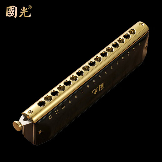 国光半音阶口琴12孔48音C调16孔高级专业演奏初学者成人儿童小学生 16孔 C调 国之梦磨砂黑（圆口标配）