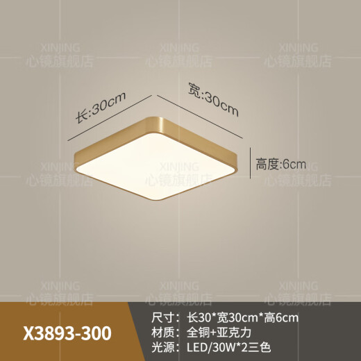 心镜全铜户外吸顶灯别墅超薄入户门灯走廊过道阳台灯露台防蚊虫庭院灯 X3893-400/方形