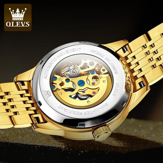 Oleeis Olevs Swiss Certified Brand Watch Men's Mechanical Uhr