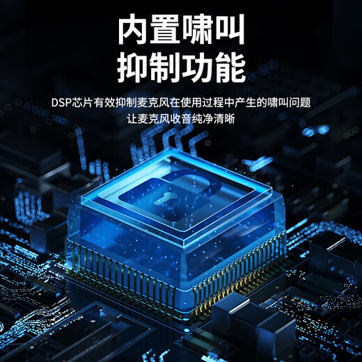 先科会议室音响设备全套装组合家庭影院KTV音乐学校培训专用系统蓝牙功放麦克风一体机壁挂音箱音柱 【两120W音柱】两话筒（推荐100-160平）