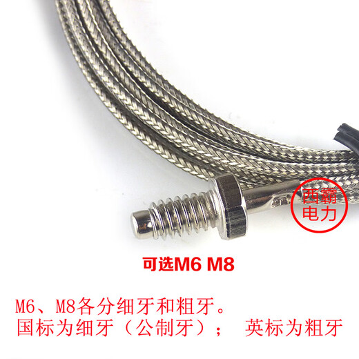 K type E type Roding thermocouple WRX-31 screw M6 type temperature sensor wire length 1M2M3M10 Zhongtian instrument K type/M6 metric fine thread/2 meters