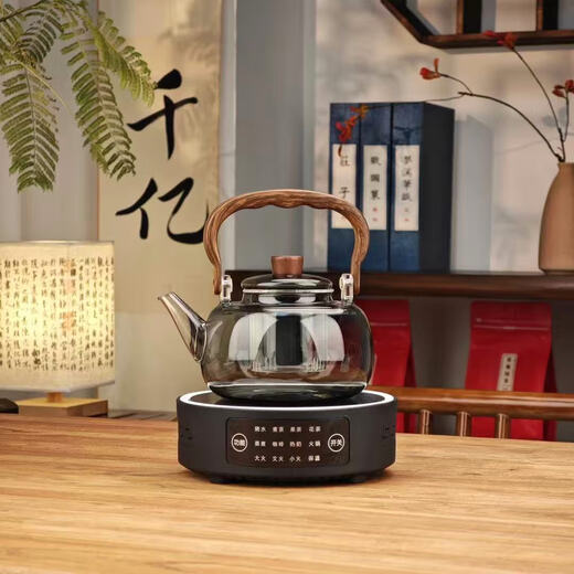Electric ceramic stove teapot with wooden handle multifunctional smart teapot for household water boiling Haiyu 03B single stove