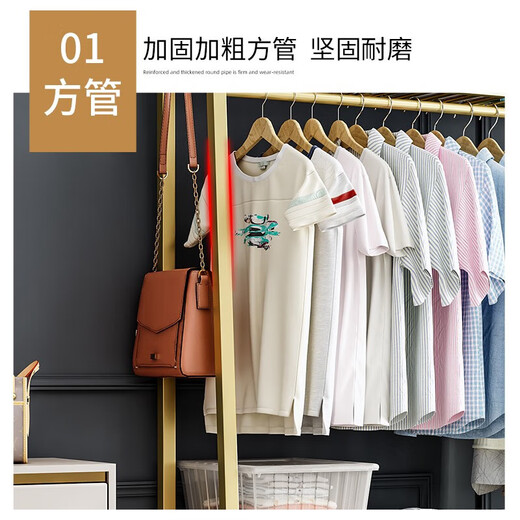 索尔诺（SuoErnuo） 衣帽架落地卧室衣挂衣架阳台家用置物衣服挂架收纳可置物衣帽架 9853金色【长120宽38高170】