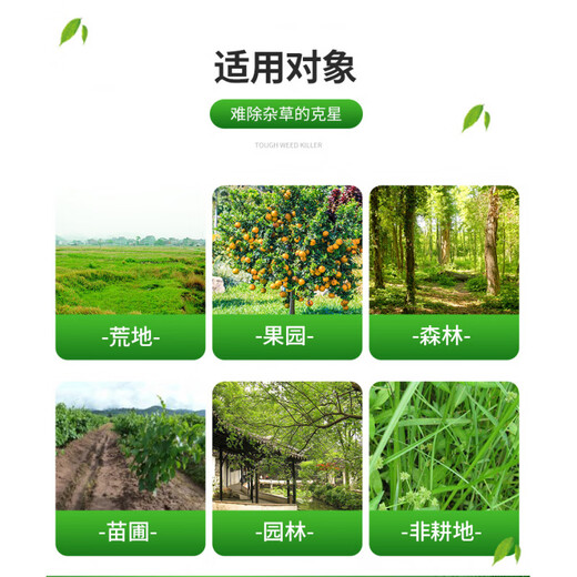 Diquan, a special agent for killing weeds and killing weeds, is a genuine herbicide that kills weeds and kills all weeds 900ml