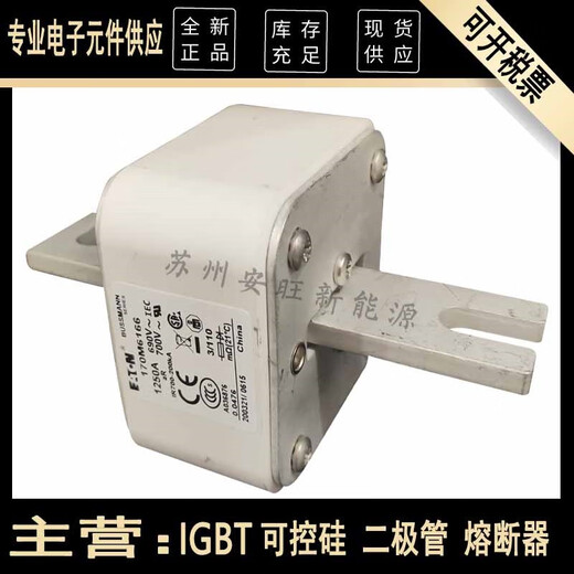 XMSJ Eaton bussmann Basmann 170M6166 170M6167 170M6169 fuse For more models, please consult customer service