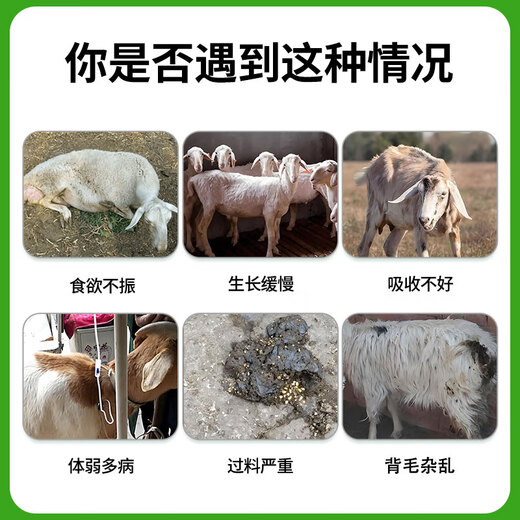 Yingmeier Yingmeier fattening sheep premix animal feed wholesale fattening king special bone and fat meat sheep goat fattening sheep premix 20kg*3 bags (95 per bag)