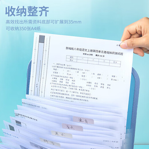 齐心(Comix)分类手提竖式风琴包 考卷卷子作业插页袋收纳 紫色MFA6187