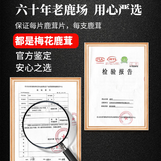永成鲜梅花鹿茸 整枝可切片 2025新割头茬含血二杠 泡酒煲汤炖菜均可 【100克】连刀切鹿茸中段