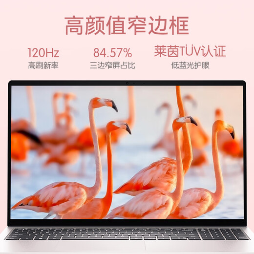 Dell Laptop Lingyue 15Pro 3530 15,6-Zoll dünne und leichte Business Office Game Female College Student Tragbarer Laptop i7 Independent Graphics Card [90% der Benutzer wählen] Core i5 [Empfohlen] 16G Speicher 512G Solid State PCi-E