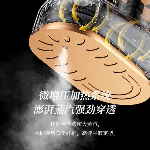 Pang Donglai Handheld Garment Ironing Mechanical and Electric Iron Mini Business Travel Portable Direct Plug Electric Small Green-Flat Garment Ironing Dual-Purpose National Standard