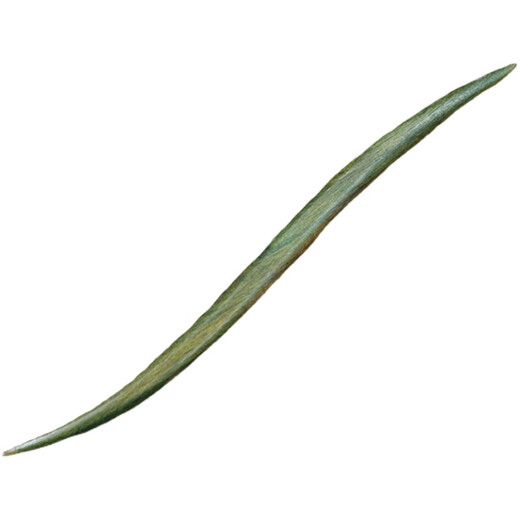 Green sandalwood bun hairpin simple hairpin Chinese style hairpin Hanfu classical handmade modern Liuyemei (18cm) hairpin