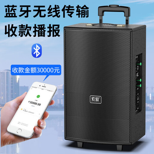 Soaiy 8-inch square dance speaker wooden high power portable outdoor bass Bluetooth karaoke dedicated large volume mobile trolley speaker outdoor performance single microphone SA-X21
