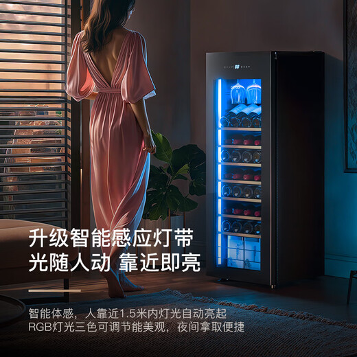 Candor Constant Temperature Red Wine Cabinet Home Wine Cabinet Living Room Office Small Red Wine Tea Beverage Refrigerator Fresh Cabinet CN-142 | Upgraded with Lock | Left Door Opening 38 Bottles