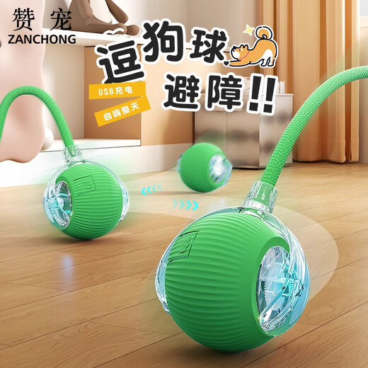 ZanChong long-lasting smart rolling ball, cat toy self-stimulating ball, automatic cat teasing stick, cat and dog walking ball