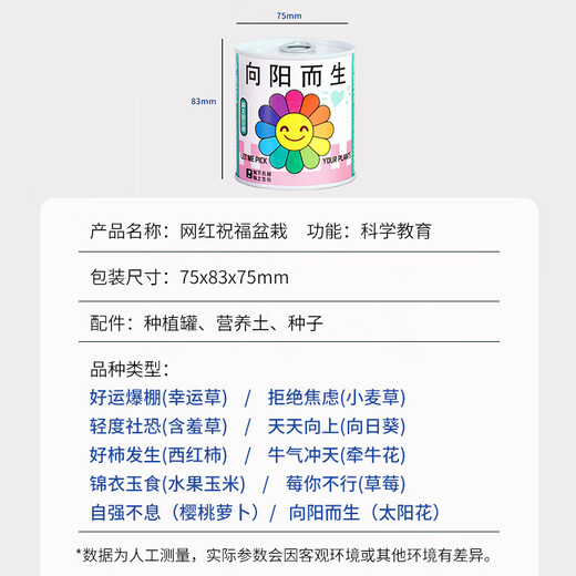 蚁恩罐头植物盲盒幼儿园室内种植小盆栽蔬菜花卉种子绿植61儿童节礼物 【寓意种植小盆栽盲盒、3罐装】 【老师推荐/简单易活/四季可种】