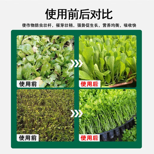Special foliar fertilizer for phantom seedlings, insect-proof and strong pole shortening cycle, nutritional balance, amino acid fertilizer, suspended silicon and zinc, dual source amino acid suspended silicon and zinc, 2 bottles