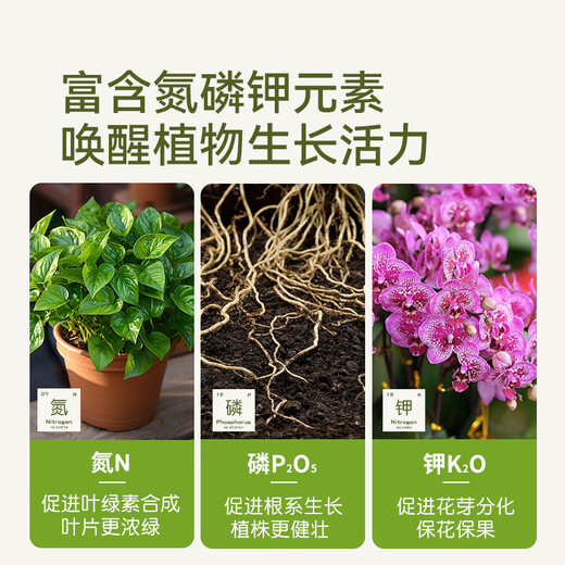 Stanley plant growth promoter nutrient solution universal flower fertilizer flower fertilizer regeneration concentrated flower and green plant special 108ml