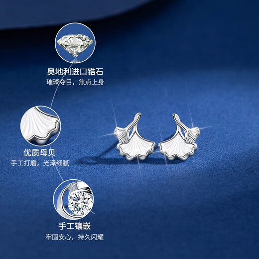 Baileys Weekly Earrings and Earrings Set 925 Silver Needle Christmas Birthday Gift Earrings Drop for Girlfriend and Wife Missing Earrings Fast Arrival