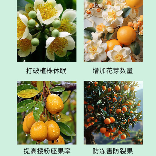 Special flower-stimulating hormone for flowers and flowers to promote flower bud differentiation, flowering and pollination. Lychee, longan and loquat foliar fertilizer. Powerful flower-inducing hormone. 2 bottles (200g each)