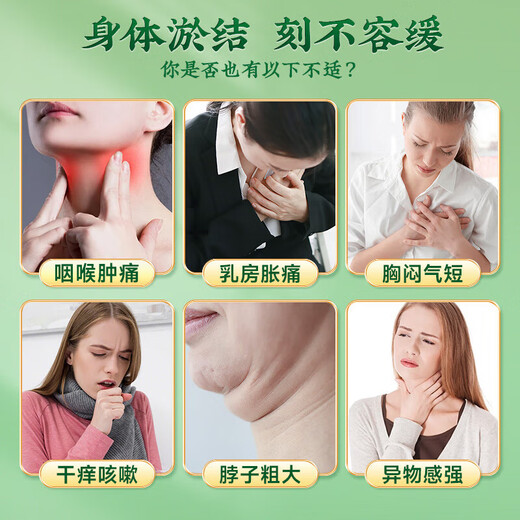 南同四海南京同仁堂散蒲公英桑叶茯苓茶菊苣结苦荞消青钱柳节除山楂养生茶