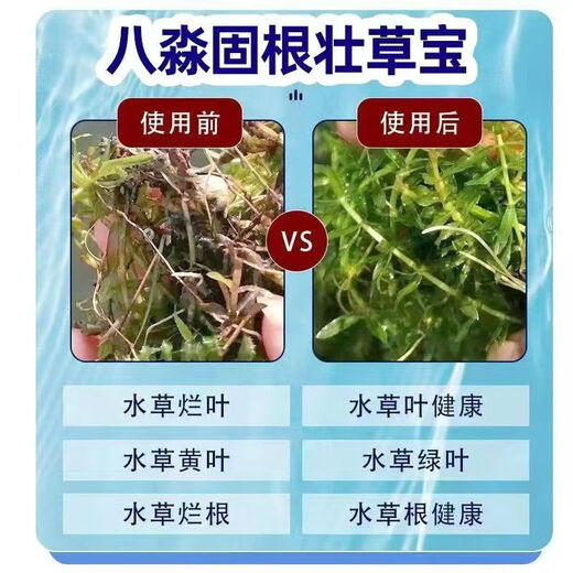 Bamiao Gugenzhuangcaobao Shrimp and Crab Breeding Aquatic Grass Fertilizer Preservation and Grass Rescue Granular Fertilizer Strong Roots Elodea Valvegrass Special Bamiao Gugenzhuangcaobao 2 barrels