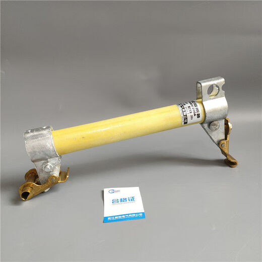 Drop-out fuse RW11-10KV/100-200A outdoor high voltage Lingke switch insurance fuse accessories 12 NCX-10KV/100A200A yellow wax tube