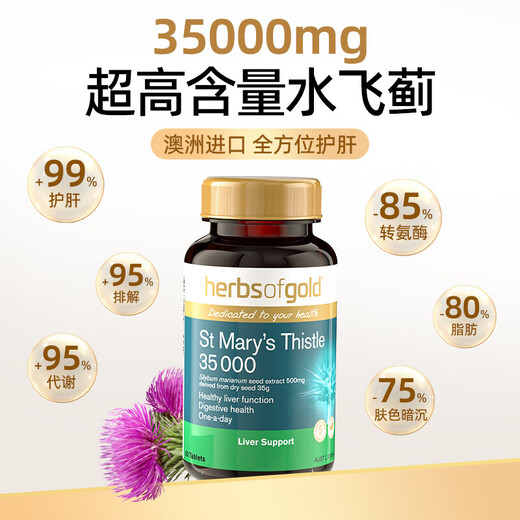 和丽康（Herbs of Gold）水飞蓟护肝片脂肪肝奶蓟草hog养肝保肝片熬夜解喝酒澳洲进口 护肝片2瓶装（95%人群选择）