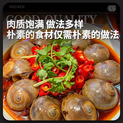 Guoxun extra large cat's eye snail (no ice, no sand) net weight 3Jin Jin is equal to 0.5kg, cooked frozen conch conch screws 13-14 heads/Jin Jin is equal to 0.5kg