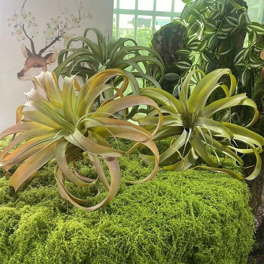 Simulated filamentous moss green micro landscape layout fake lawn fish tank landscaping rockery stone bonsai landscaping pavement light yellow green 70g free 40g