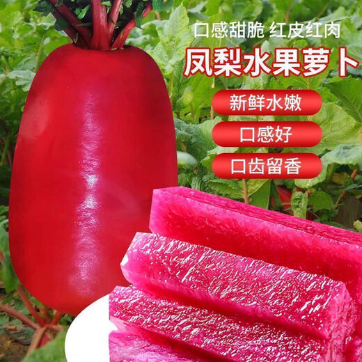 3341 pieces in 30 days, raw pineapple fruit radish seeds, purple beauty radish, rouge radish seeds, summer four, premium original, 200 capsules, two packs, fruit-type pineapple radish seeds (new this year)