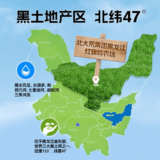 Beidahuang No Added Sugar Pure Soy Milk 500g (25 Packs) Non-GMO High Fiber High Protein Low GI Drinking Cereal Breakfast