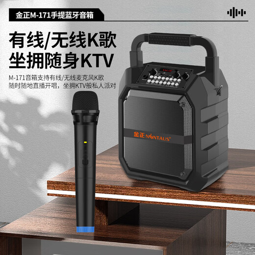 金正M171户外音响蓝牙音箱便携式大音量广场舞音响功放一体机家用ktv唱歌小型k歌麦克风手提摆摊低音炮 旗舰版【双支无线话筒】