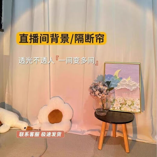 Live broadcast background cloth Internet celebrity live broadcast room background curtain curtain free of punching Velcro gauze curtain partition special for female anchors background gauze Velcro processing width 2.001*height 2.72 meters one piece (suitable for close range