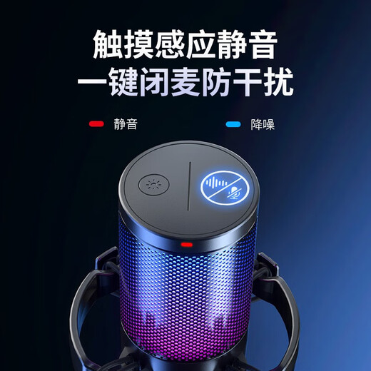 Maono computer microphone game live recording microphone noise reduction usb mobile phone desktop notebook radio microphone online class karaoke DM20 wired condenser microphone DM20 black (disc style)