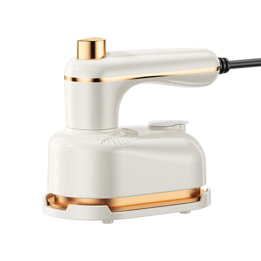 Pang Donglai Handheld Garment Ironing Mechanical and Electric Iron Mini Business Travel Portable Direct Plug Electric Small Green-Flat Garment Ironing Dual-Purpose National Standard