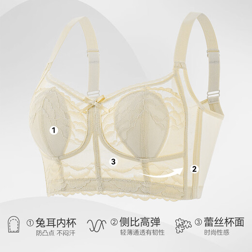 Les gros seins de chat montrent de petits seins pour les femmes, des sous-vêtements pour les femmes, un style mince d'été, un rassemblement, des seins latéraux, une affaissement, un beau soutien-gorge d'oreille de lapin, ultra mince