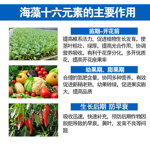 Seaweed sixteen-element foliar fertilizer for fruit trees, vegetables and flowers to take root, strengthen seedlings and expand fruit, nitrogen, phosphorus, potassium, boron, zinc, iron, water-soluble fertilizer, Australian brand 1350g*12 bottles