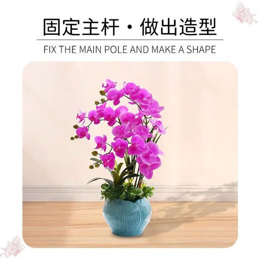 Phalaenopsis Support Support Stroder Моделирование стойка