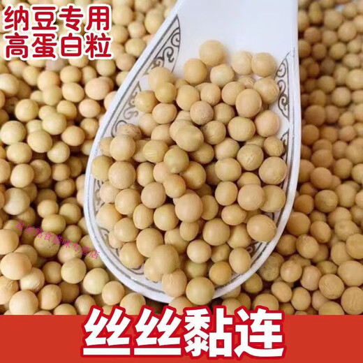纳豆专用黄豆690小金黄东北黑龙江小粒黄豆发芽专用 纳豆专用小金黄-黄豆2斤
