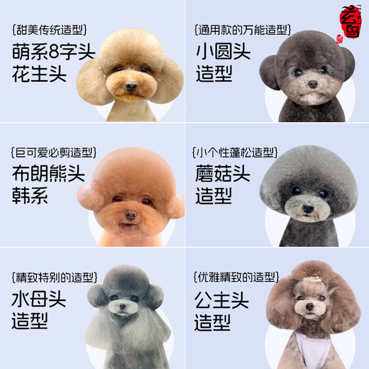 Xuanniao Teddy Bichon Grooming Scissors Pet Scissors Set Dog Shearing and Trimming Scissors Recommended by beauticians One set 6-piece set | See pictures for details for small and medium-sized dogs