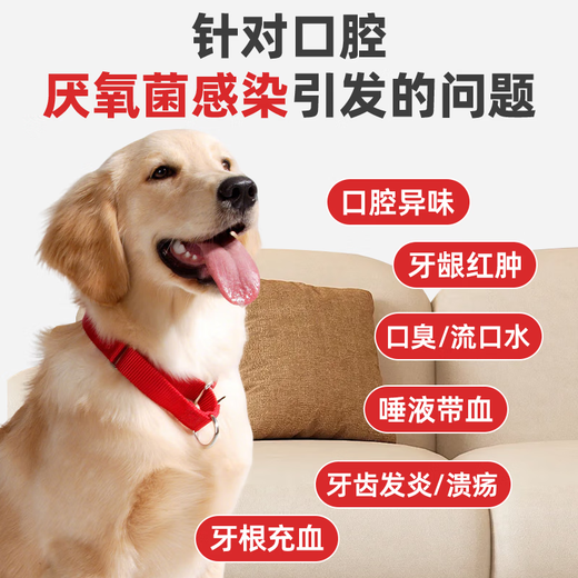 Cat cup stomatitis medicine, cat virus, oral anti-inflammatory spray, swollen lips, drooling, gingivitis, mouth ulcers, pet stomatitis, bad breath, redness and swelling, non-oral liquid spray, metronidazole tablets 12 tablets/box, national standard GMP certification